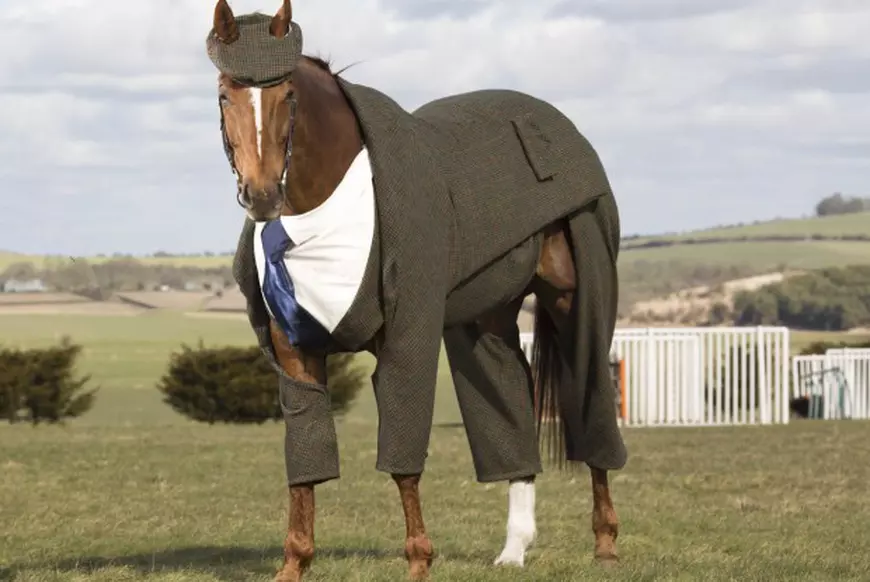 Primul cal din lume care poartă costum de designer | FOTO