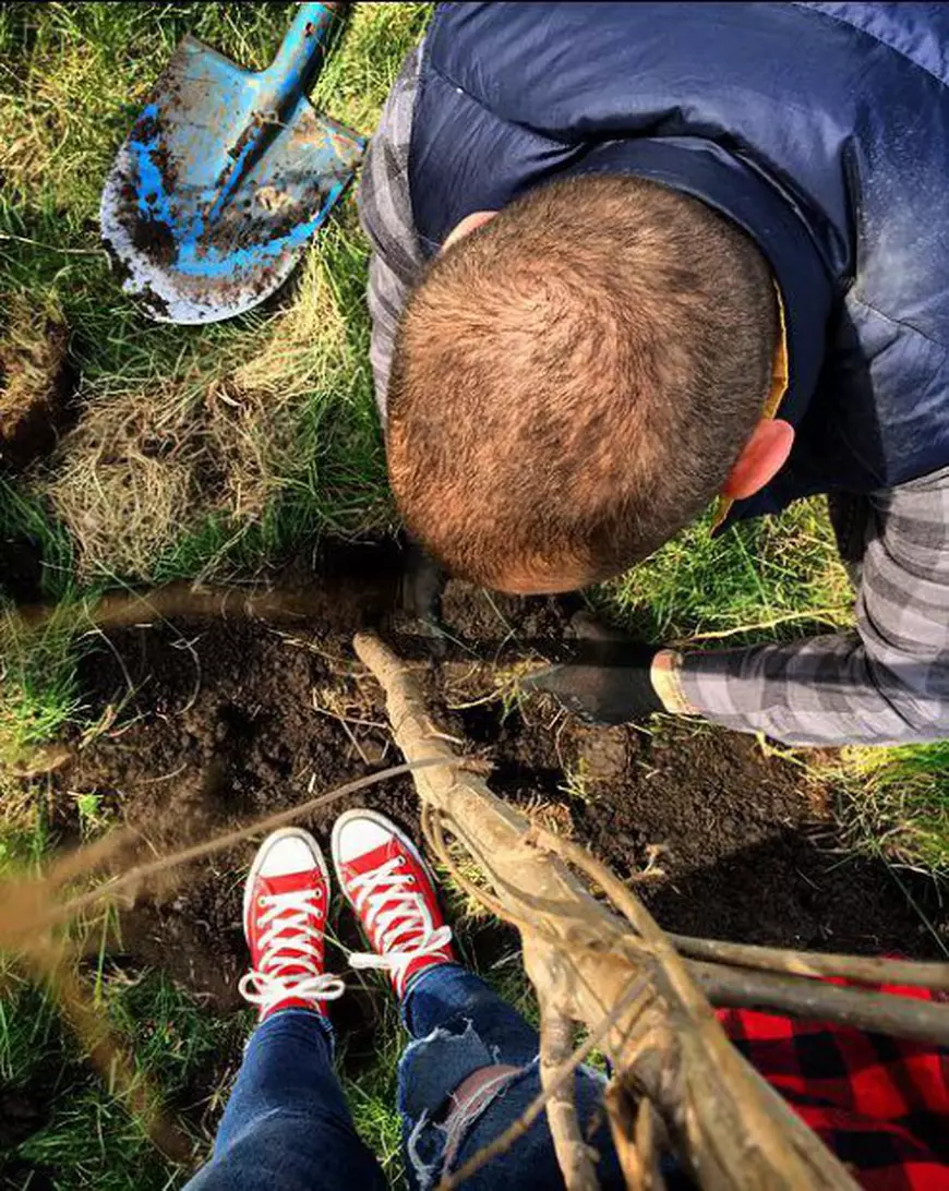 12920270_1284567801559635_1935995174004628632_n