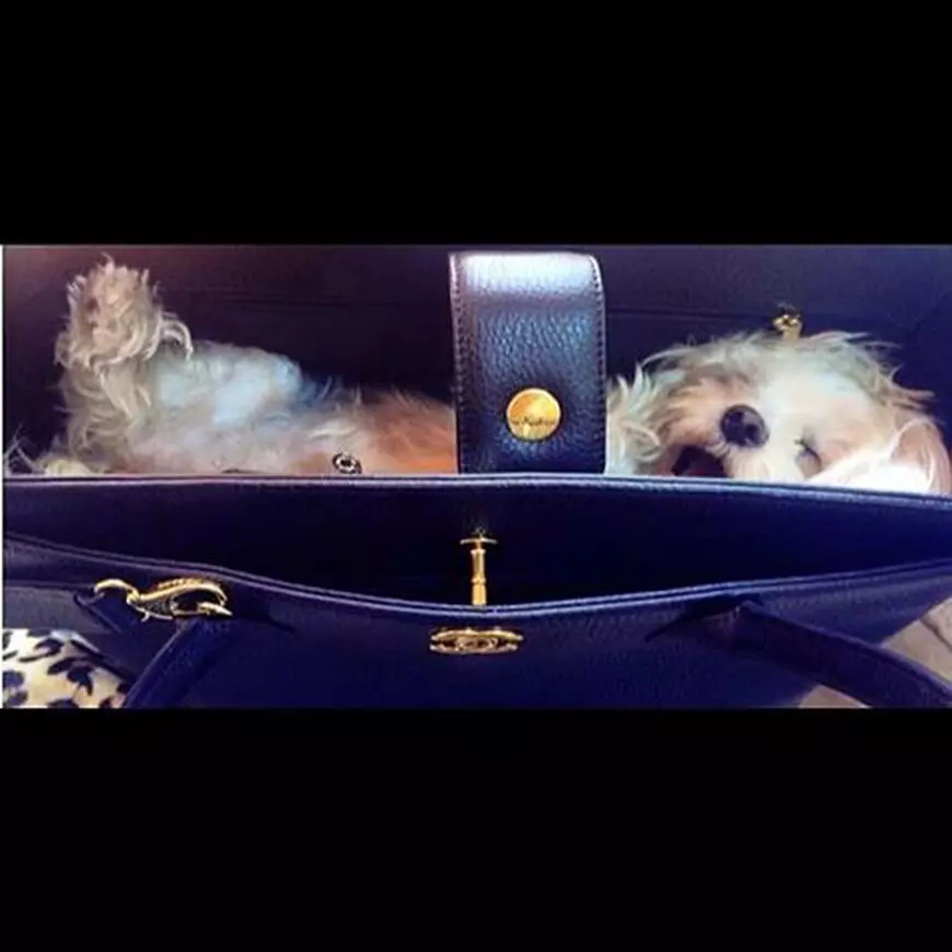 12924378_1128322880554042_215921252735959076_n