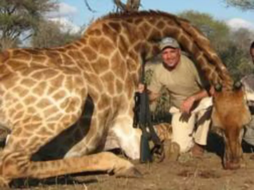 e878eaab0b1e05df6b80388df83bf5a3_43_m