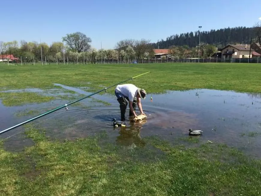 pescuit pe stadion
