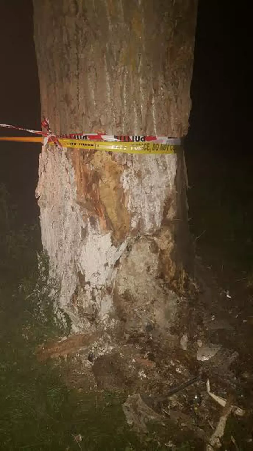 94ddd2b9-d2d8-4584-83d9-3e912aa0bc61