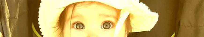 13419093_536819566502139_4043925331203233919_n