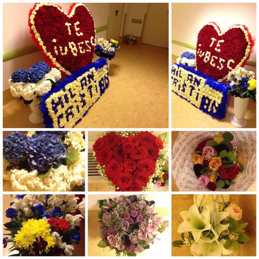 13423715_1030181023740041_5871946913011315929_n