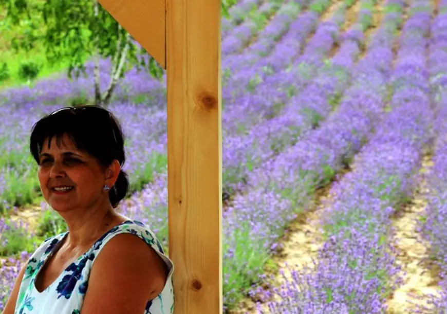 lavanda1