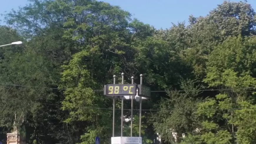 13729099_1214791268555271_3024773713548144302_n