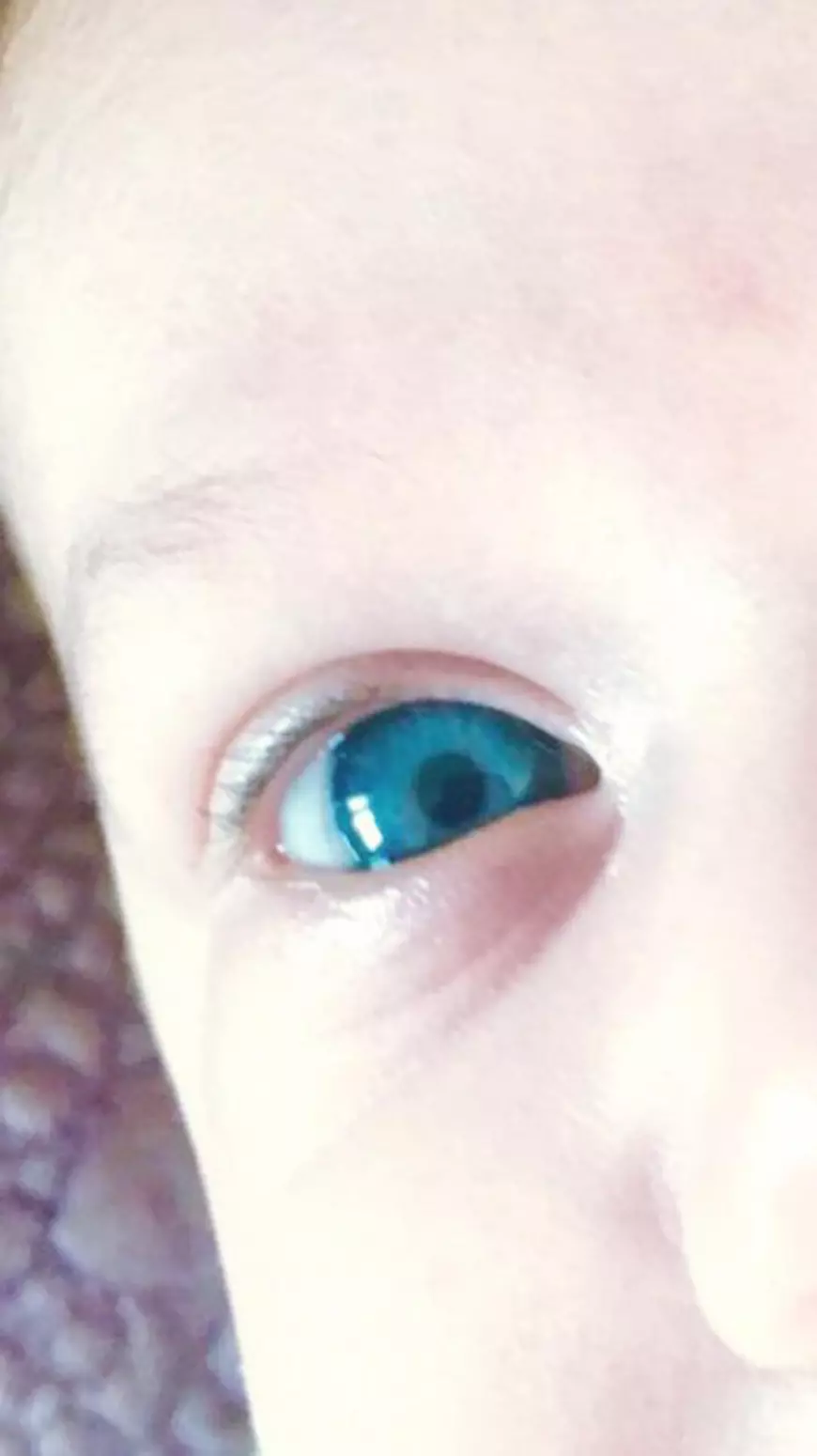 13872740_1055789331123160_2540561259395667816_n