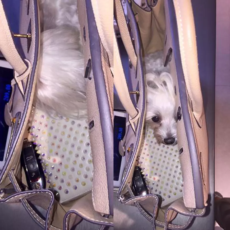 bianca dragusanu geanta