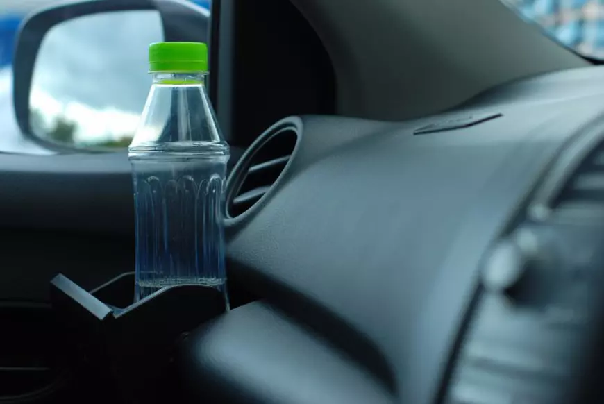 masina canicula 1 shutterstock