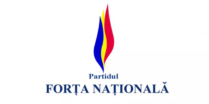 sigla-Partidul-Forta-Nationala