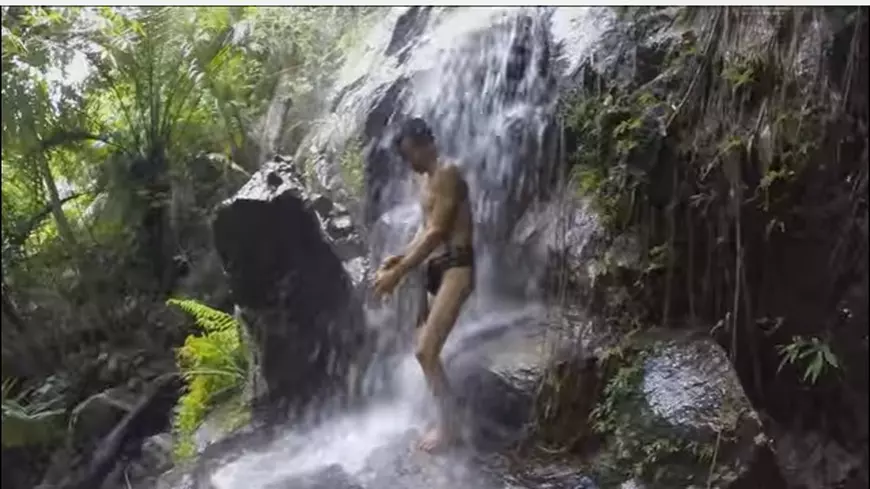 tarzan 1