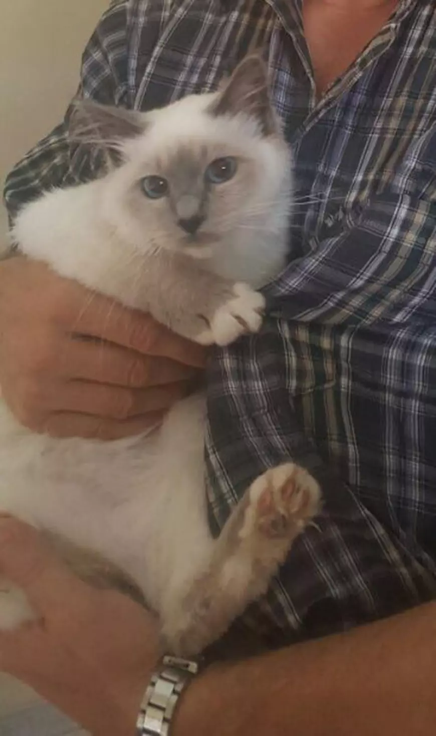 13912669_1203536473022434_7053052487074451677_n