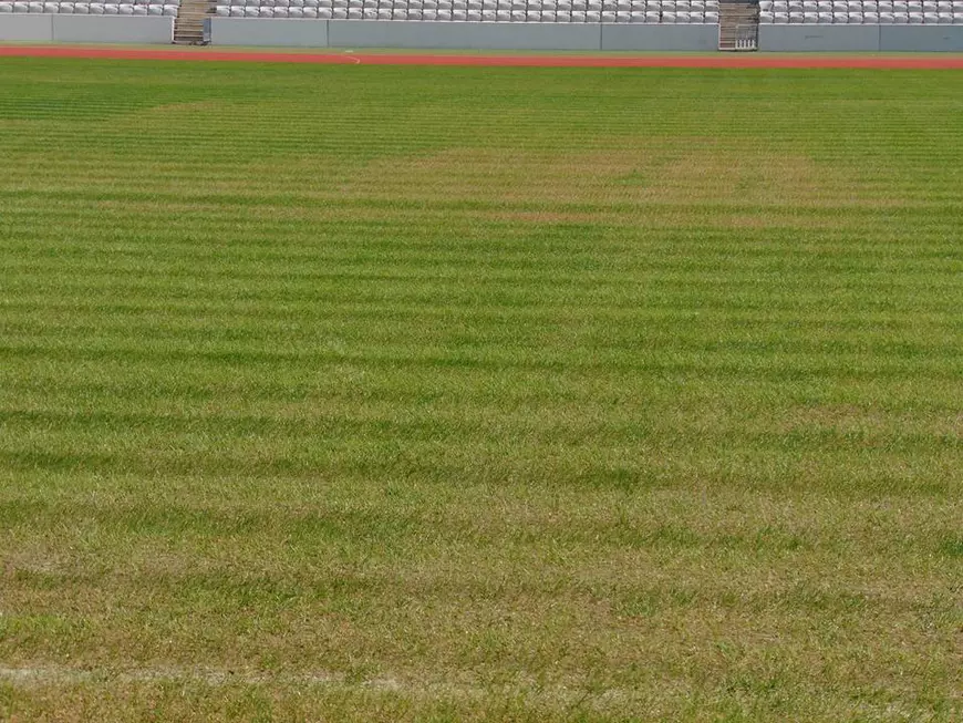 Cluj Arena gazon 26.08.2016