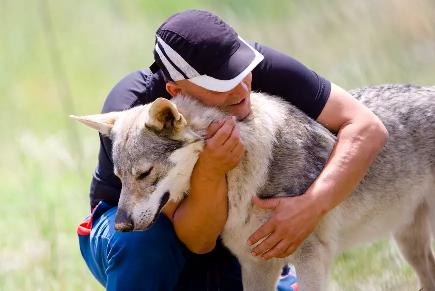 Wolf Pack: Wolf Cross Breeds And Their Owners Make One Unconventional Family