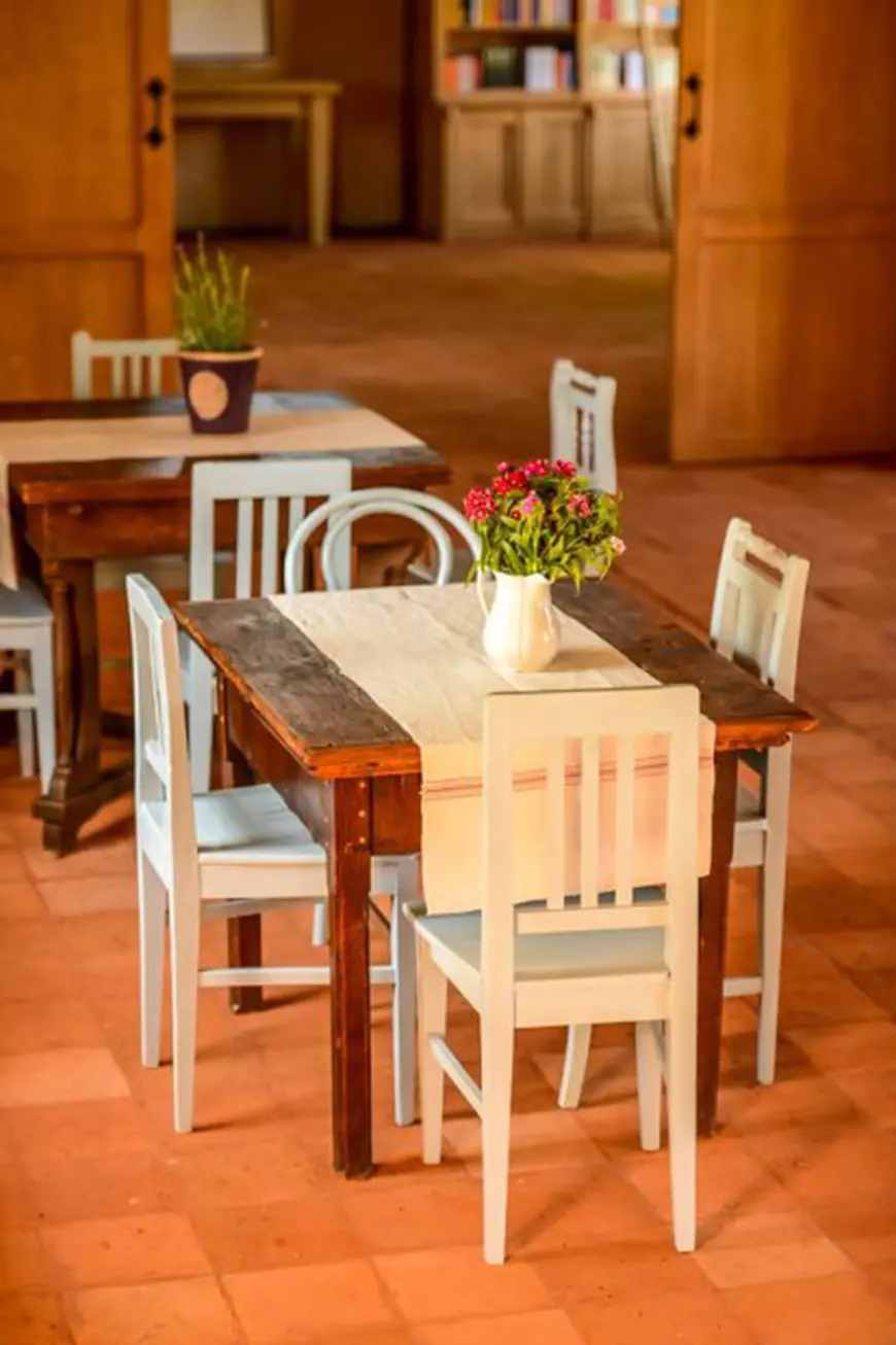 printul_charles_pensiune_viscri (6)