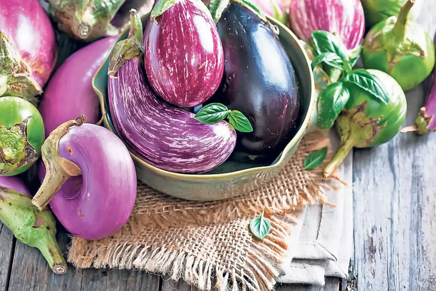 06-07-shutterstock_324021848