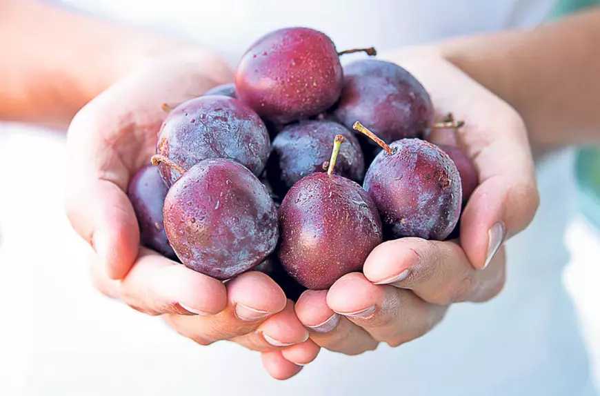 06-07-shutterstock_330124895