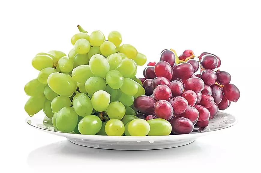 06-07-shutterstock_53717491