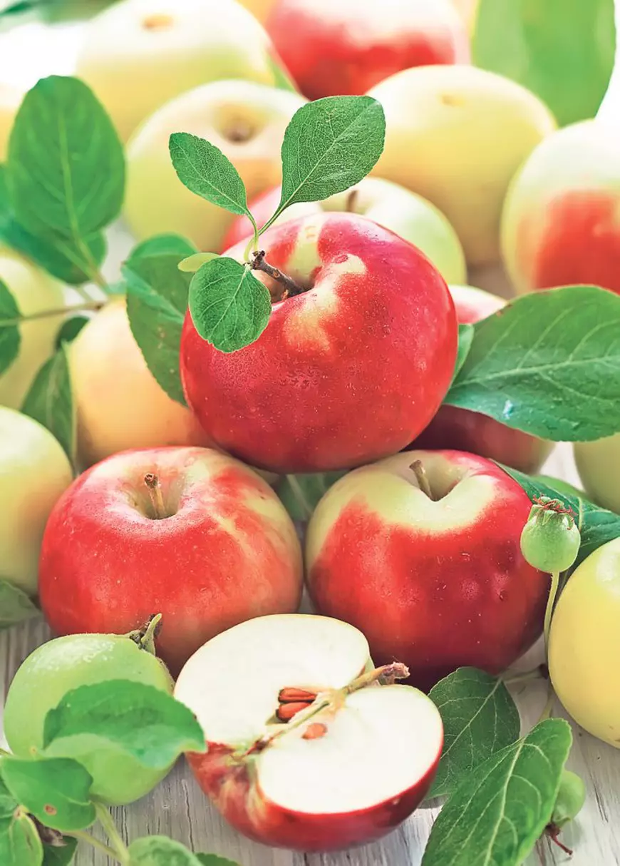 06-07-shutterstock_80759668