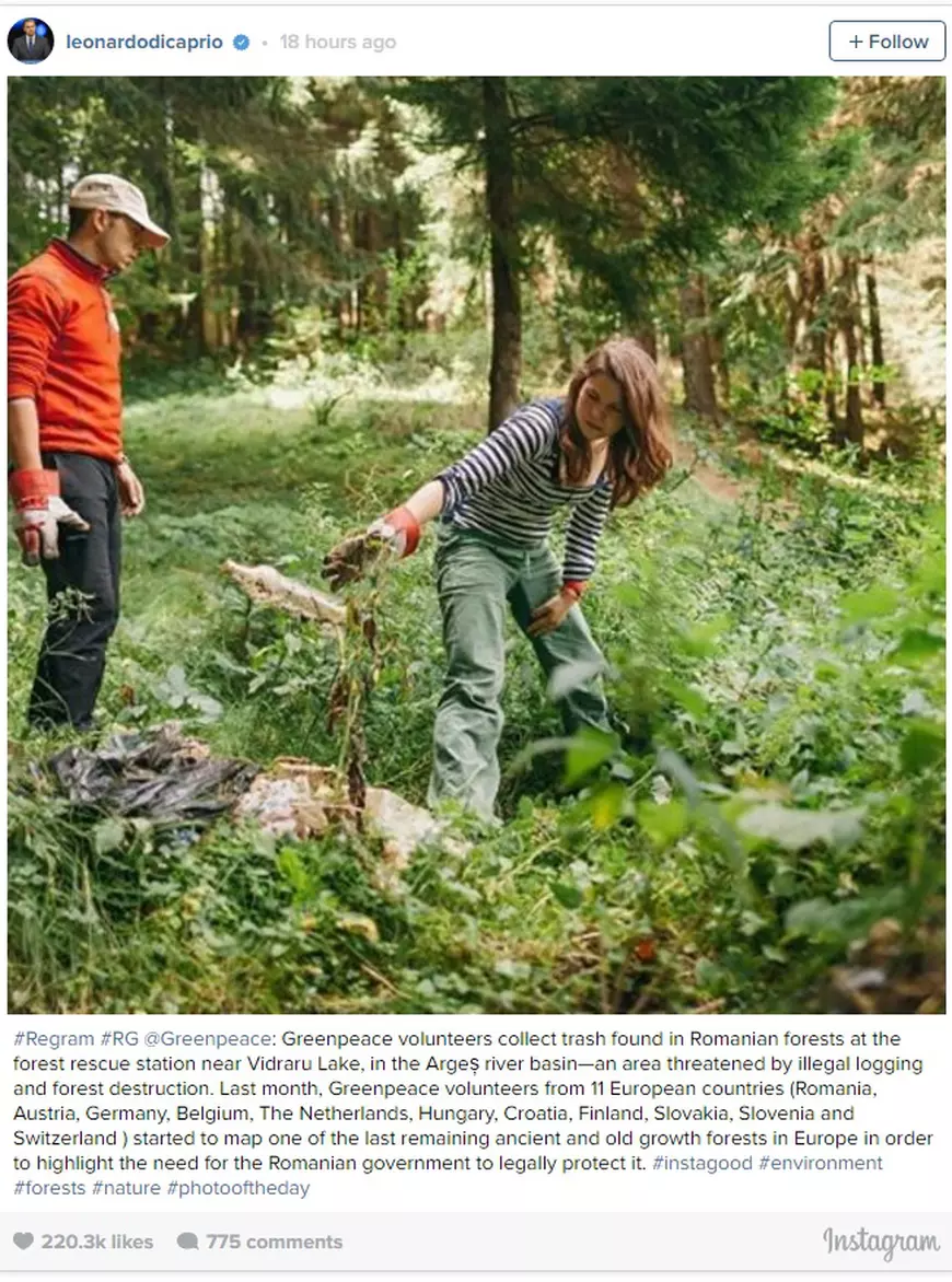 Leonardo DiCaprio, apel pentru padurile din Romania