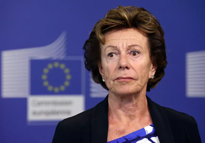 Neelie Kroes 