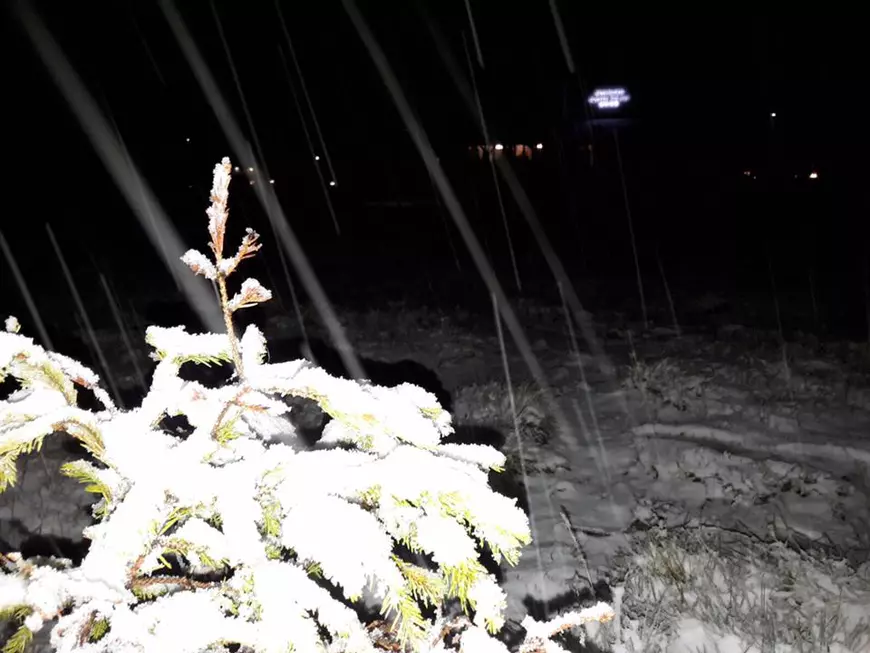 Ninsoare în Munții Șureanu sursa foto: facebook.com