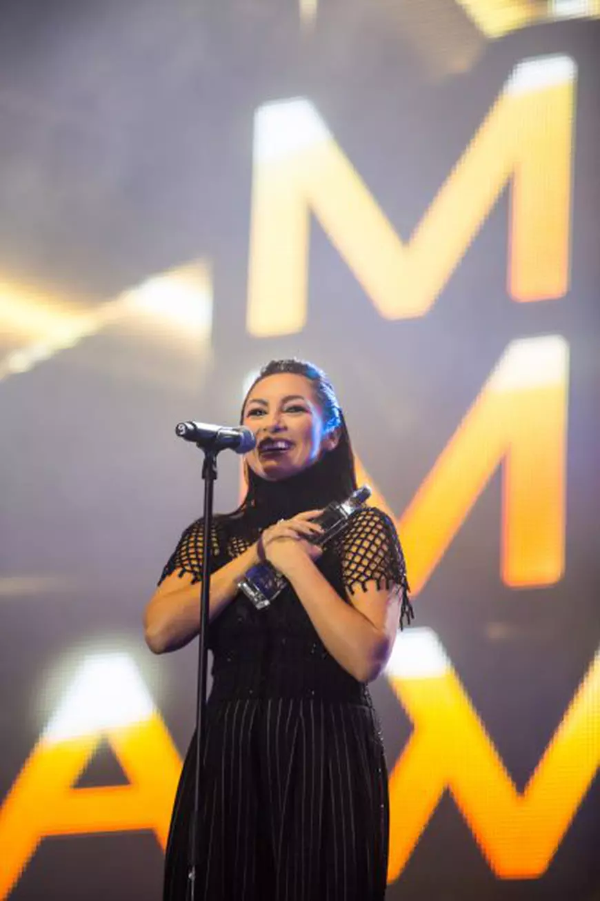 andra-media-music-awards-3