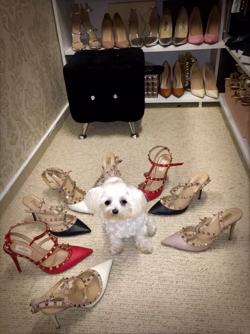 bianca dragusanu (2)