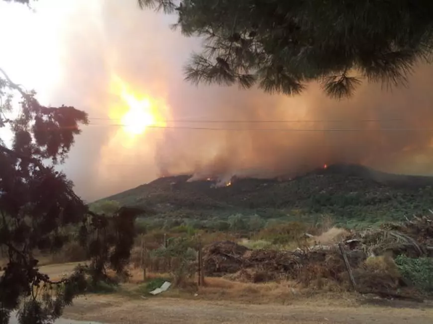 camping Daedalos Thassos