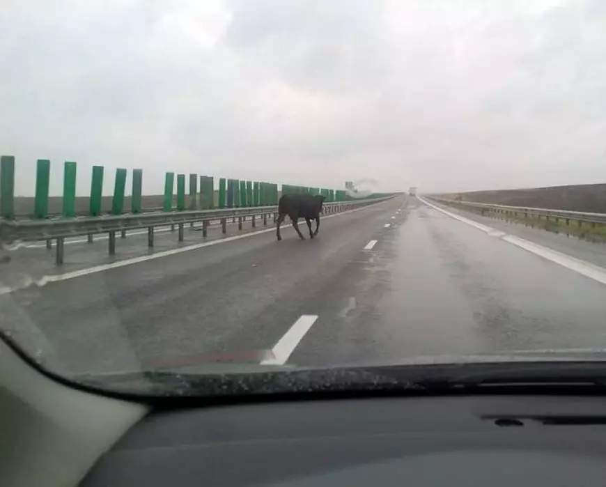 sursa foto: Facebook Ionuț Cercel