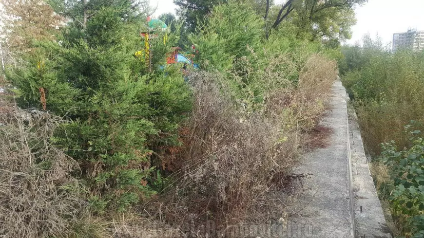 Locul de joacă este lângă albia râului