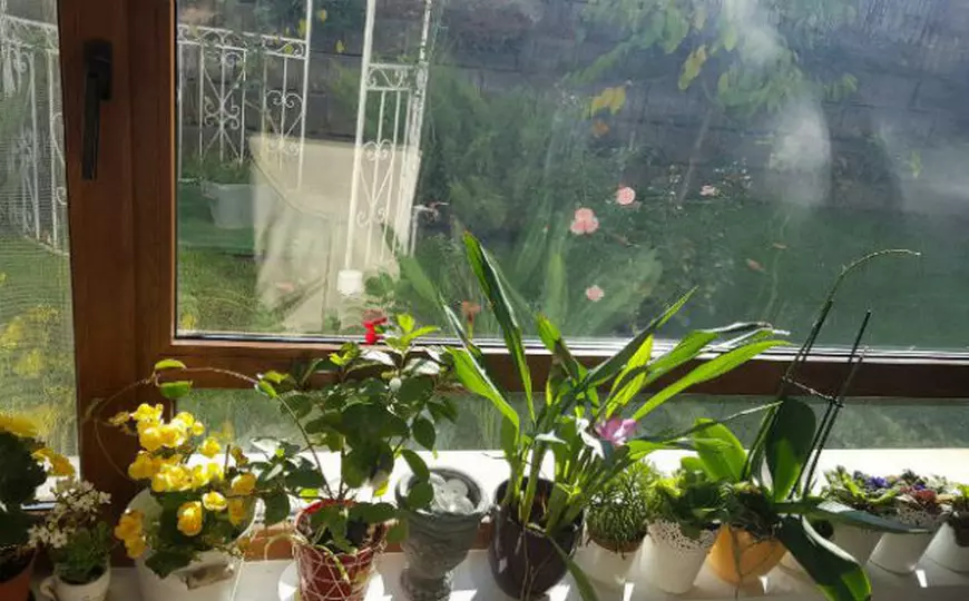 Andreea Marin divorțează de Tuncay