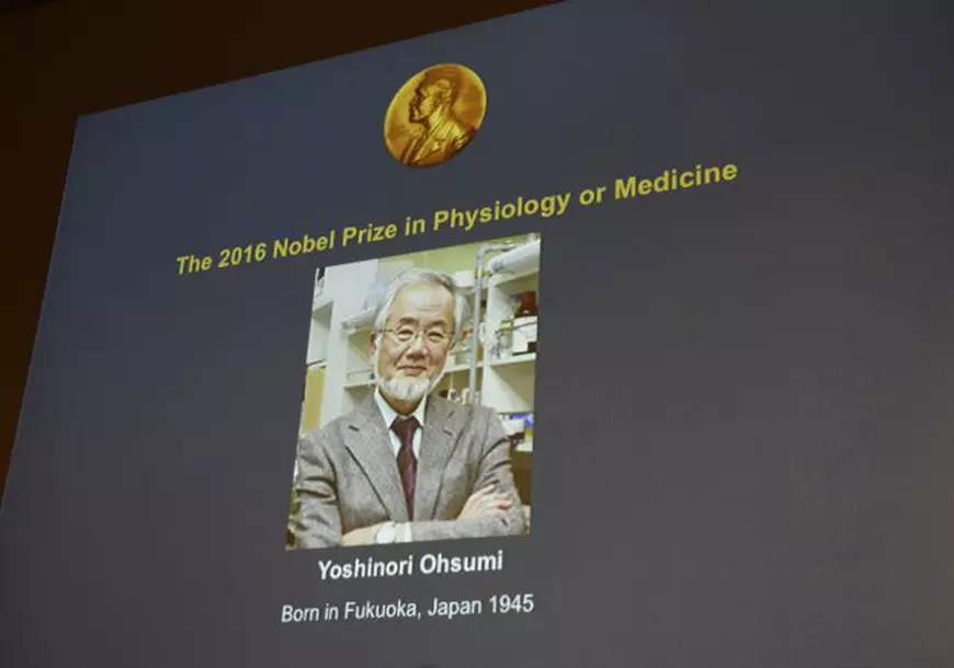 Cercetătorul japonez Yoshinori Ohsumi a castigat premiul Nobel pentru medicină 2016 
