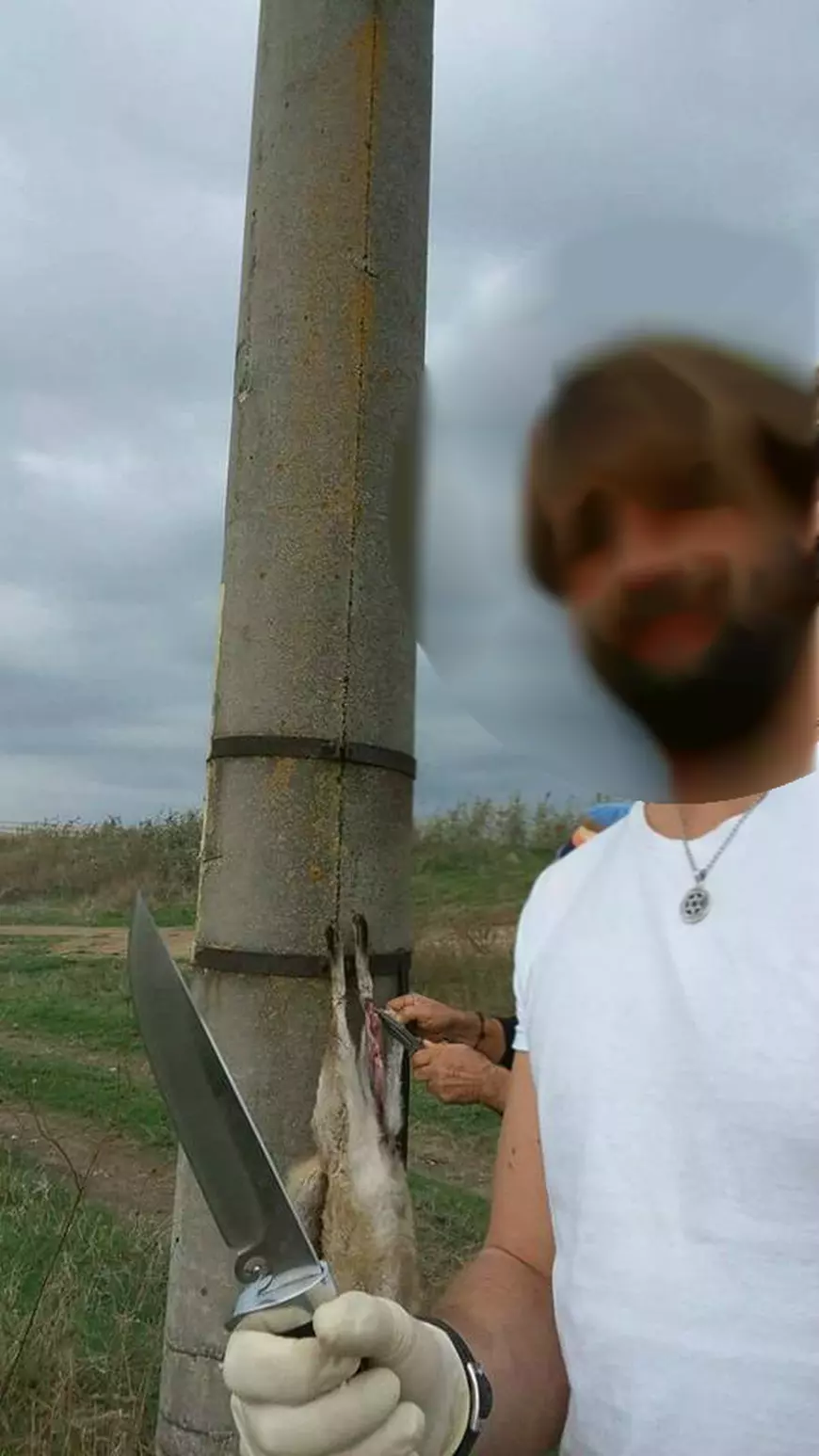 Vulpe jupuită pe viu! Bărbatul și iubita lui s-au fotografiat în timp ce jupoaie o vulpe.