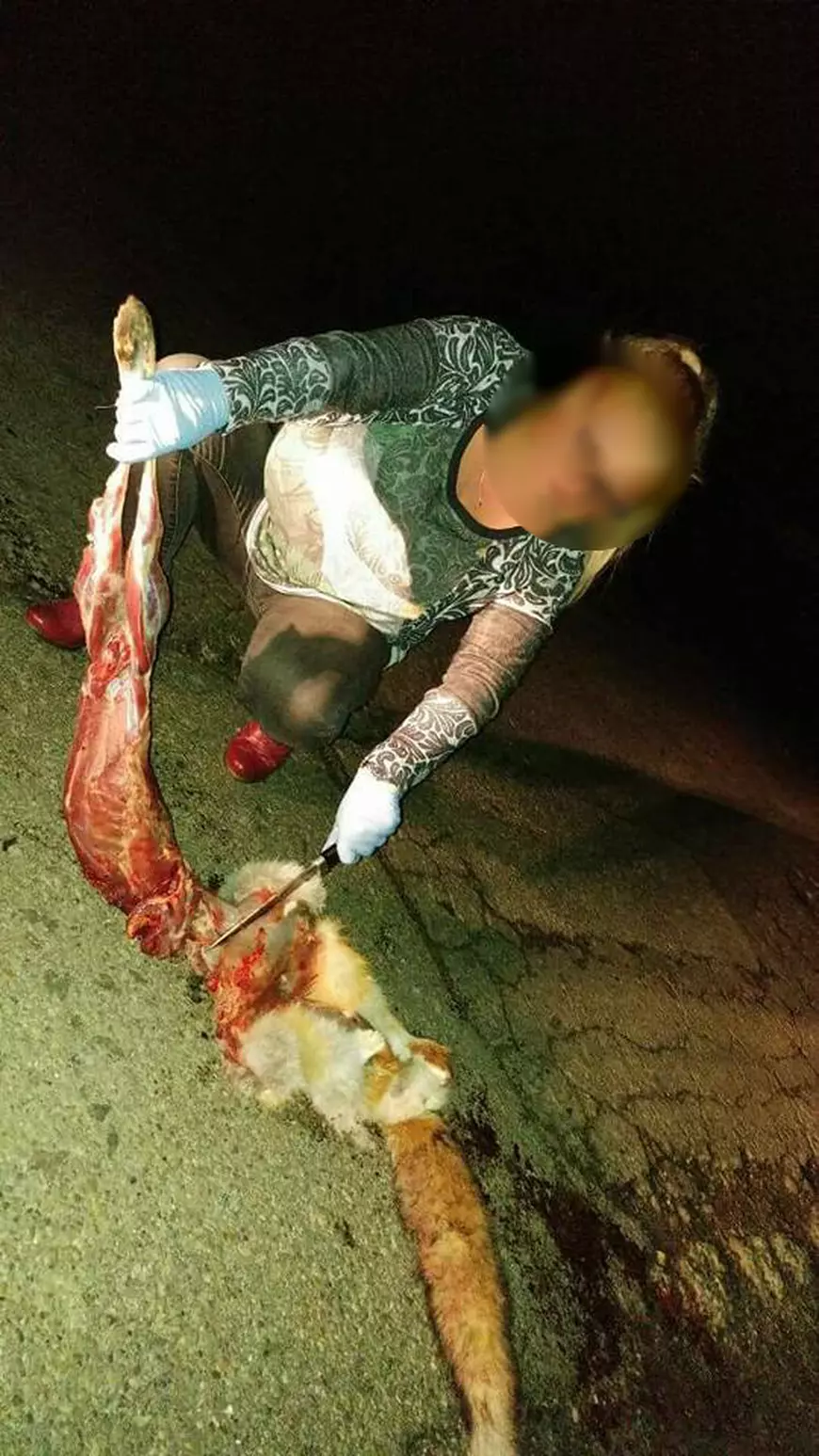 Vulpe jupuită pe viu! Bărbatul și iubita lui s-au fotografiat în timp ce jupoaie o vulpe.