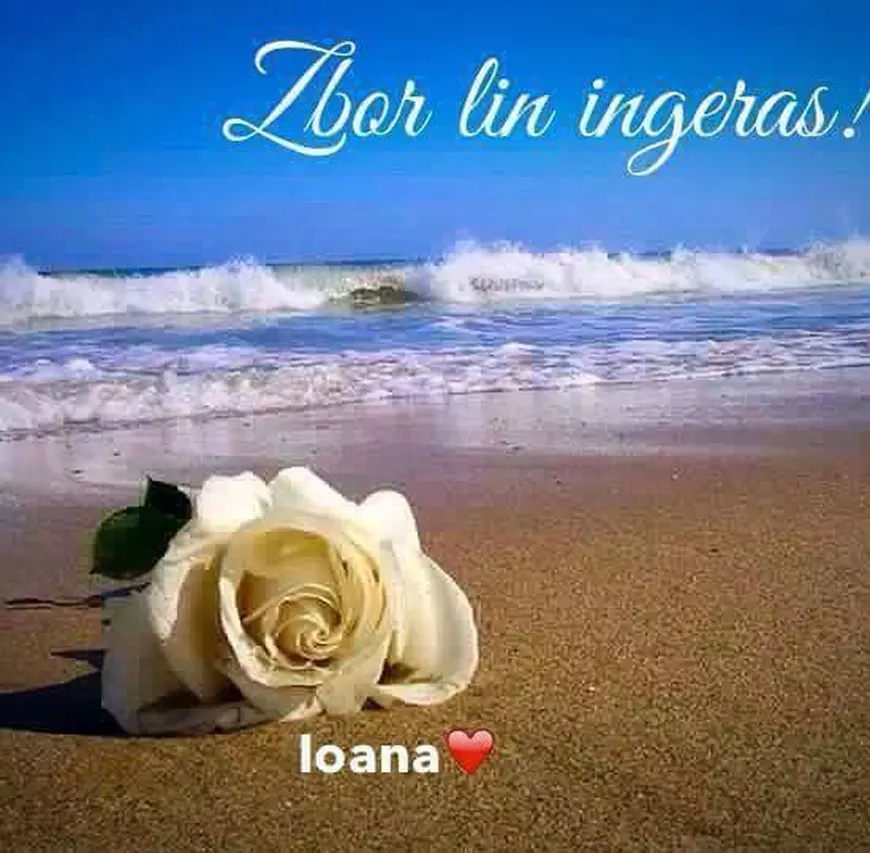 Fetița lui Mihai Onilă a fost incinerată. Mesajul dureros transmis de mama ei