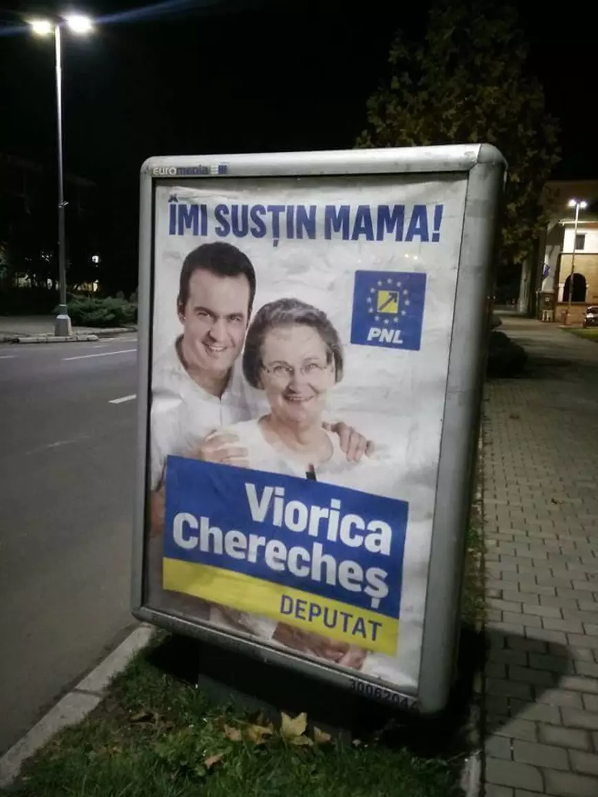 catalin chereches viorica chereches