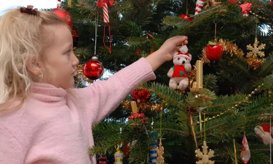 decoratiuni pentru bradul de craciun