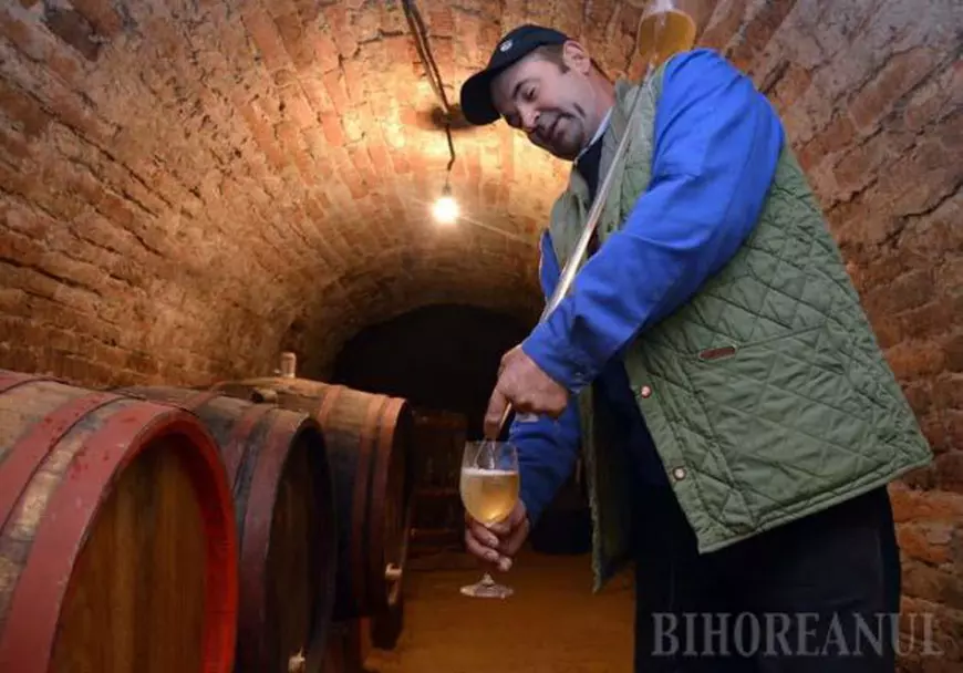 oradea pivnite vin