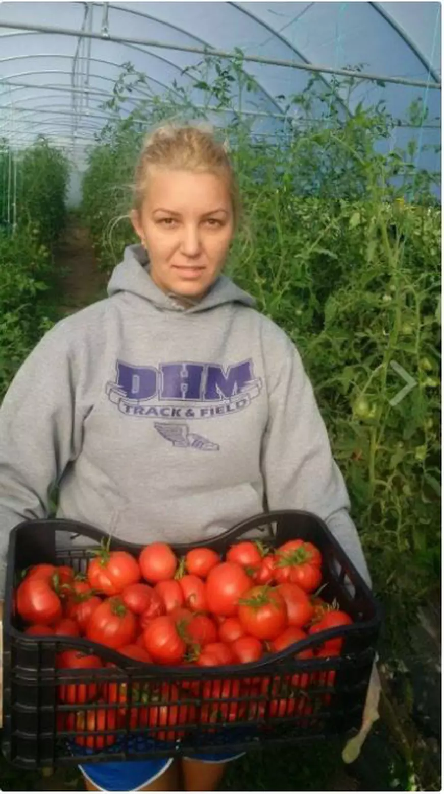 Agricultură cu fonduri europene. Cum s-au asociat romii și românii din Bistrița