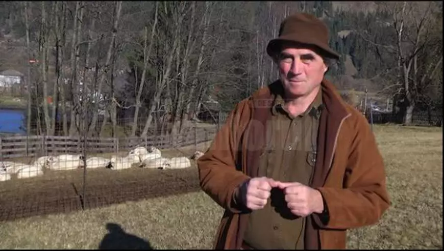 suceava oi medic veterinar