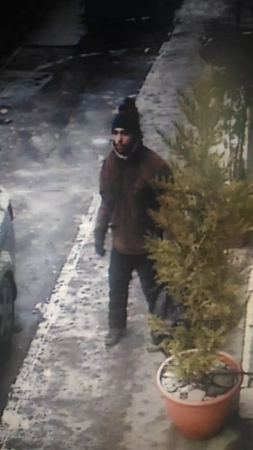 A legat brazii cu lanțuri pentru a nu mai fi furați, în Arad. Hoțul, suprins în acțiune de camerele de supraveghere