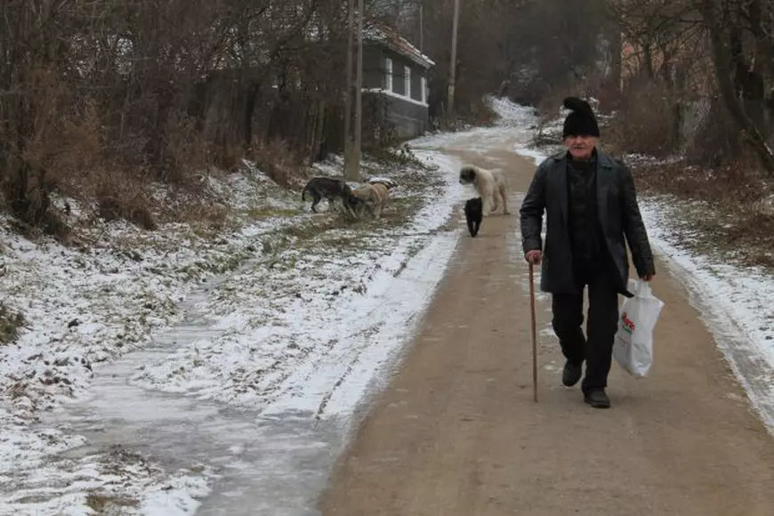 Cel mai bătrân angajat din România are 99 de ani. Ciobanul Ștefan Gros din județul Hunedoara merge cu oile pe munte