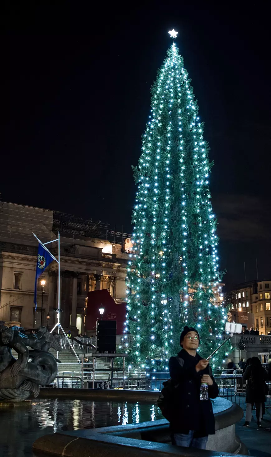 Norwegian Christmas Tree unveiled at Trafalgar Square