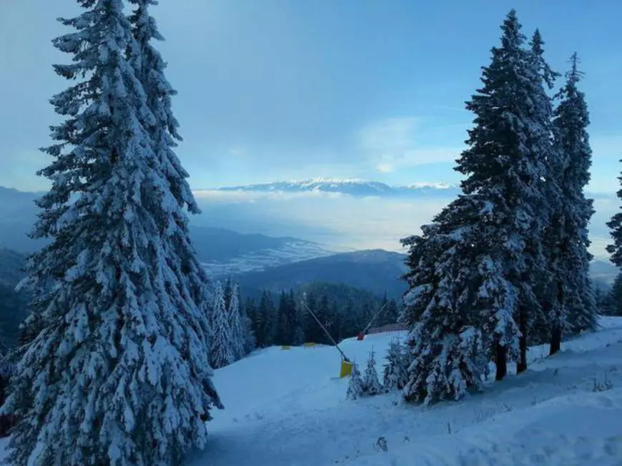 partii_poiana_brasov