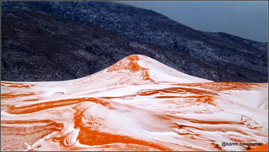 A nins in Sahara