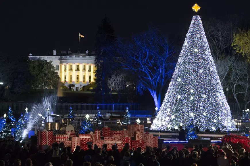94th annual National Christmas Tree Lighting on the Ellipse near the White House