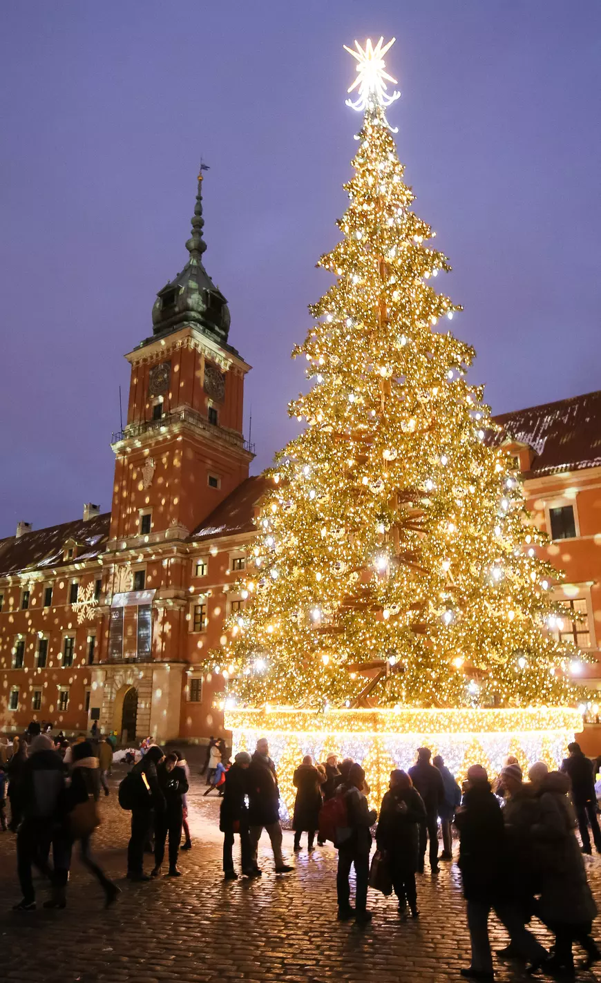 Christmas tree in Warsaw