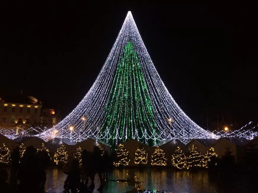 Bradul din Vilnius este cel mai frumos din lume