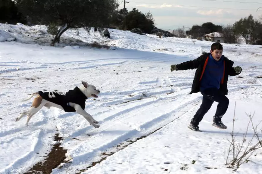 val de frig în Europa - Atena, Grecia